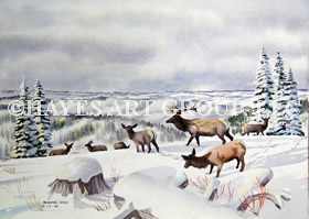 WILDLIFE IN WINTER NOTE CARDS