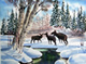 WILDLIFE IN WINTER NOTE CARDS